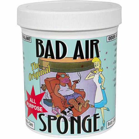 美國Bad Air Sponge 除甲醛 空氣淨化器清新劑 家用車用