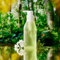 HACCI Bee Body Wash Bee Hug 夏日限定 晨影朝露 沐浴露385ml 雨後森林茉莉花和小蒼蘭Morning Shade