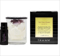 Thann 伯爵茶複方精油10ml+索拉花擴香杯